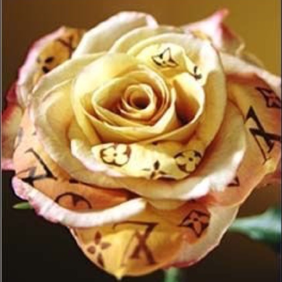 Meet your Posher, Ashleigh - Picture 1 of 1